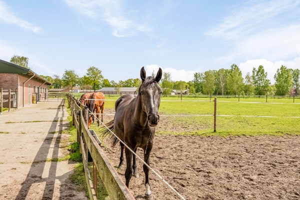 Medium property photo - De Hemel 6, 5465 RB Veghel