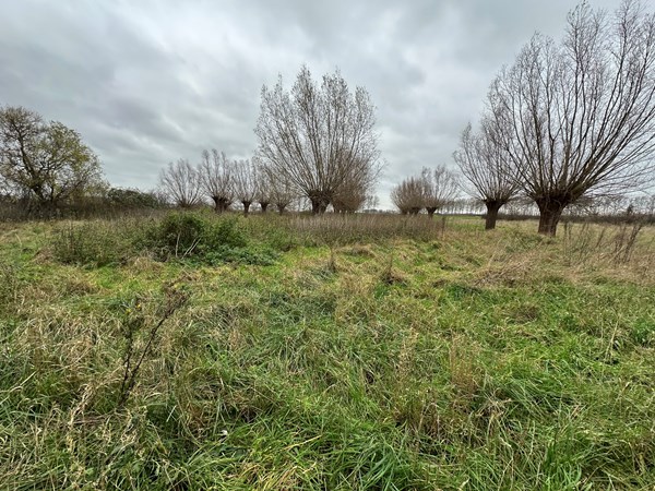 Medium property photo - Langeweg 13A, 4542 RR Hoek