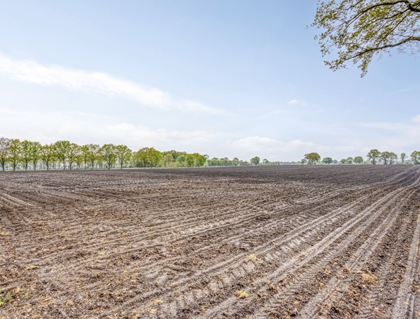 Medium property photo - Oostelbeersedijk 12, 5513 NX Wintelre