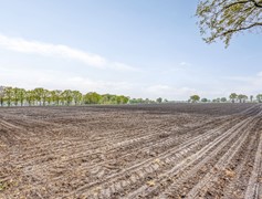 Oostelbeersedijk125513NXWintelre-57.jpg