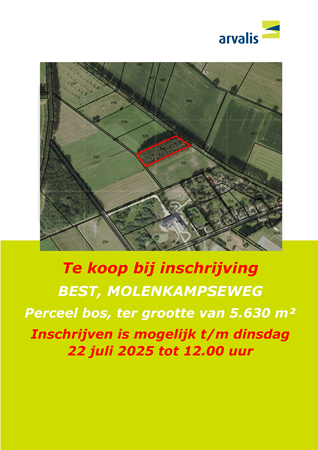 Brochure preview - V Molenkampseweg te Best (bosperceel) - te koop bij inschrijving.pdf