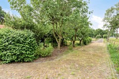 Eikenbussel315689AAOirschot-56.jpg