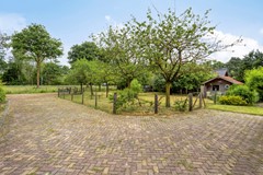 Eikenbussel315689AAOirschot-67.jpg