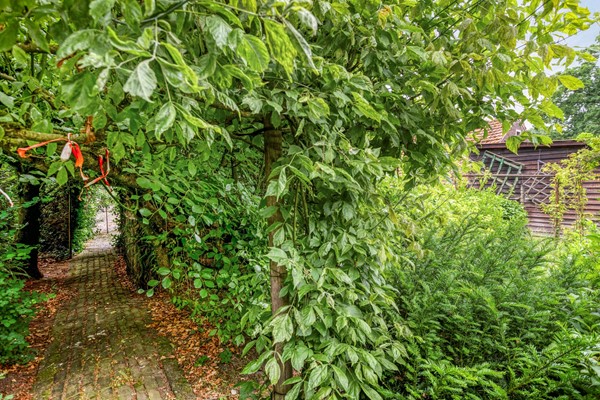 Medium property photo - Udenseweg 24, 5411 SC Zeeland