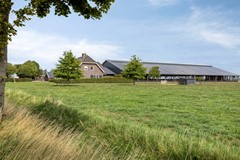 Broeksestraat824269VEBabyloniënbroek-02.jpg