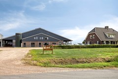 Broeksestraat824269VEBabyloniënbroek-05.jpg