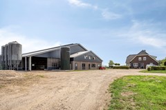 Broeksestraat824269VEBabyloniënbroek-57.jpg