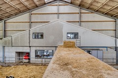 Broeksestraat824269VEBabyloniënbroek-38.jpg