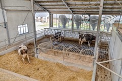 Broeksestraat824269VEBabyloniënbroek-37.jpg