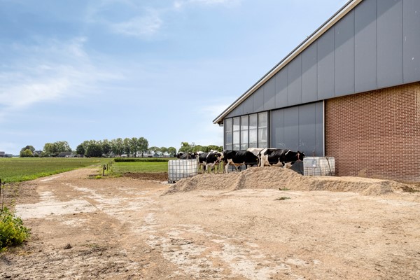 Medium property photo - Broeksestraat 82, 4269 VE Babyloniënbroek