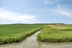 Broeksestraat824269VEBabyloniënbroek-72.jpg