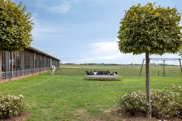 Medium property photo - Broeksestraat 82, 4269 VE Babyloniënbroek