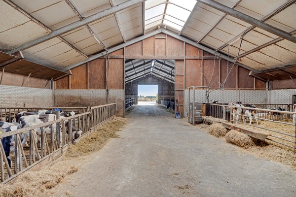 Medium property photo - Broeksestraat 82, 4269 VE Babyloniënbroek