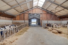 Broeksestraat824269VEBabyloniënbroek-63.jpg