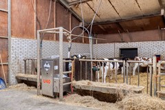 Broeksestraat824269VEBabyloniënbroek-64.jpg