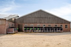 Broeksestraat824269VEBabyloniënbroek-58.jpg
