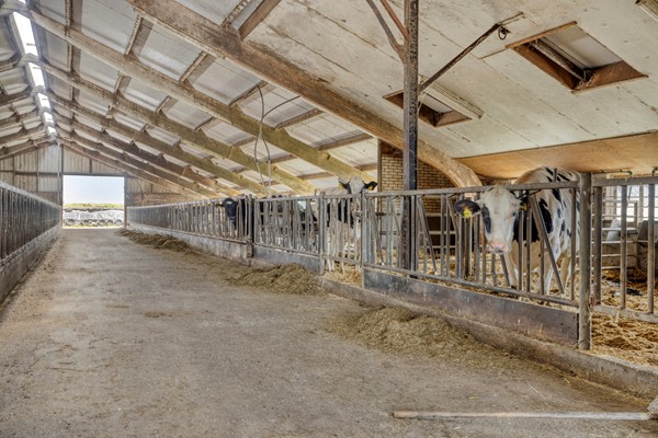 Medium property photo - Broeksestraat 82, 4269 VE Babyloniënbroek