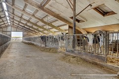 Broeksestraat824269VEBabyloniënbroek-59.jpg