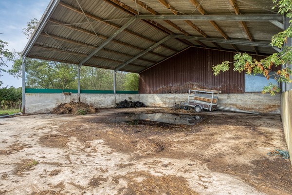 Medium property photo - De Omloop 10, 5254 TJ Haarsteeg