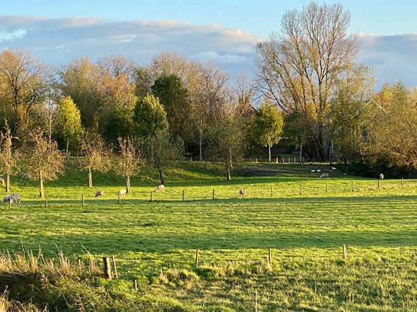 Medium property photo - Molendijk 9, 4698 PK Oud-Vossemeer