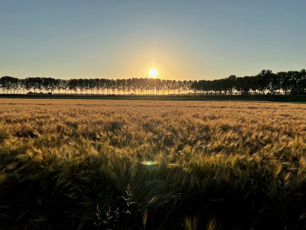 Medium property photo - Molendijk 9a, 4698 PK Oud-Vossemeer