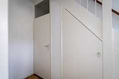 FSMN-20250521-4719.jpg