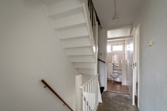 FSMN-20250521-4731.jpg
