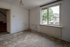 FSMN-20250521-4684.jpg