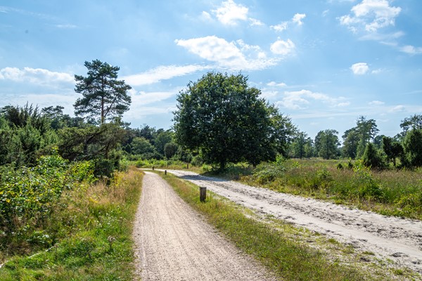 Medium property photo - Lage Esweg 73, 7441 AW Nijverdal
