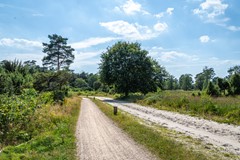 FSMN-20240806-7932.jpg