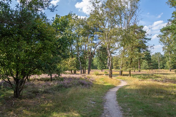 Medium property photo - Lage Esweg 73, 7441 AW Nijverdal