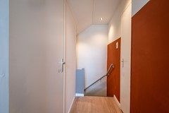 FSMN-20250611-5146.jpg