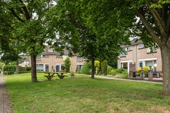 FSMN-20250611-5079.jpg