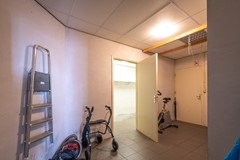 FSMN-20250603-4993.jpg