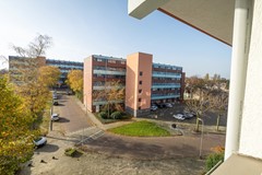 MMHN-20201107-1341.jpg