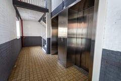 MMHN-20201107-1390.jpg