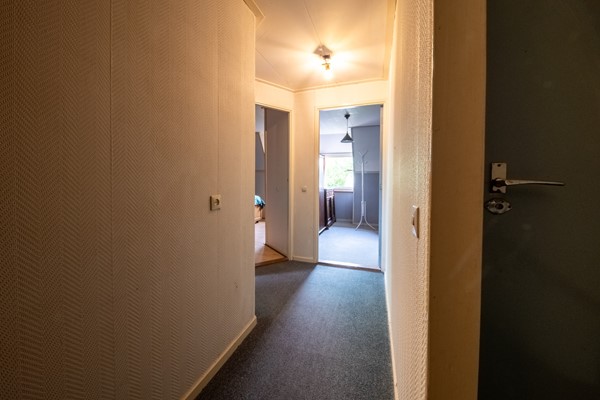 FSMN-20260630-7757-HDR.jpg