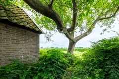 FSMN-20260630-7814-HDR.jpg