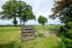 FSMN-20260630-7784-HDR.jpg
