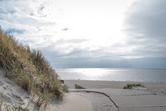 FSMN-20230925-0340.jpg