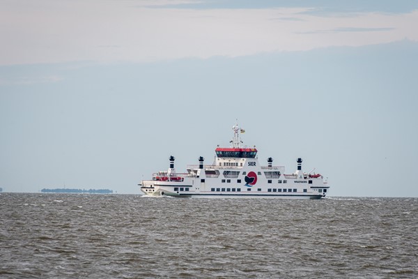 FSMN-20230925-0196.jpg