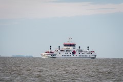 FSMN-20230925-0196.jpg