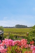 Boomdijk 9, 4471 AZ Wolphaartsdijk - Boomdijk94471AZWolphaartsdijk-44.jpg