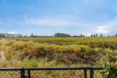 Boomdijk 9, 4471 AZ Wolphaartsdijk - Boomdijk94471AZWolphaartsdijk-51.jpg