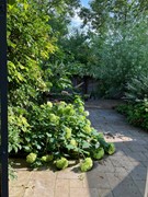 Duunmede 21, 4337 BC Middelburg - afe95236-1606-4656-a61a-545b35a87f67.jpg