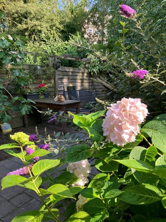 Foto - Te koop: Duunmede 21, 4337 BC Middelburg