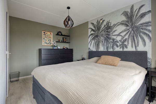 Foto - Te koop: Henry Dunantstraat 18, 4471 BV Wolphaartsdijk