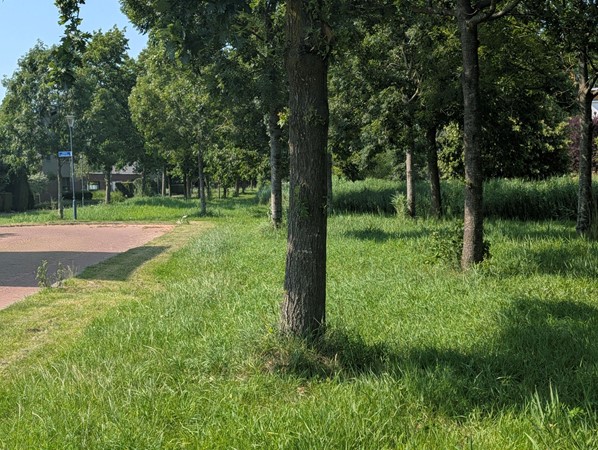 Foto - Verkocht onder voorbehoud: Glenn Millerlaan 35, 4462 LM Goes