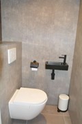 apart toilet.jpg