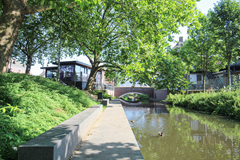 Nieuwe afbeelding.png